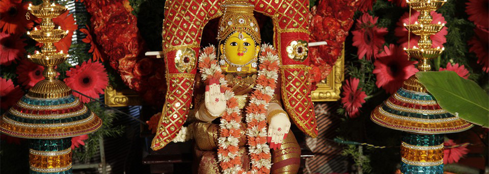 Image1